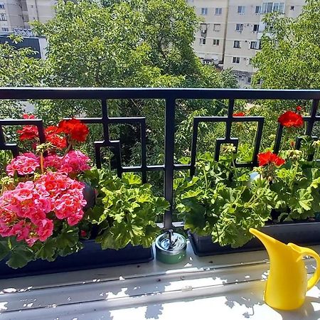 33 Coquette Apartment Baia Mare Luaran gambar