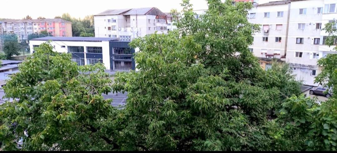 33 Coquette Apartment Baia Mare Luaran gambar