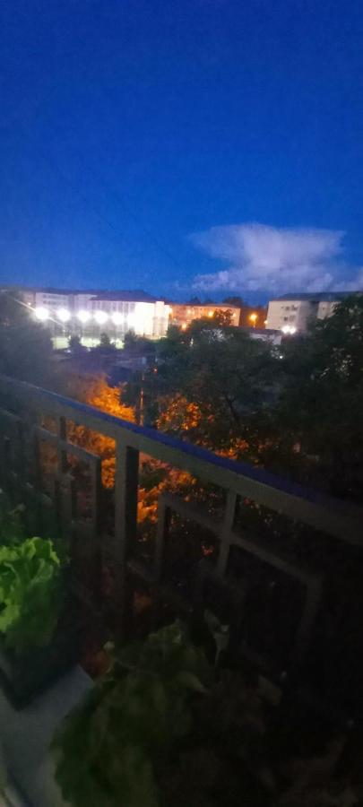 33 Coquette Apartment Baia Mare Luaran gambar