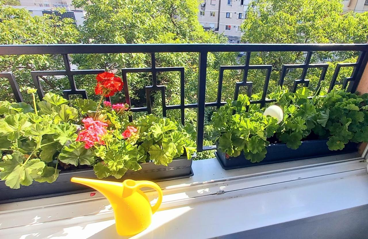 33 Coquette Apartment Baia Mare Luaran gambar