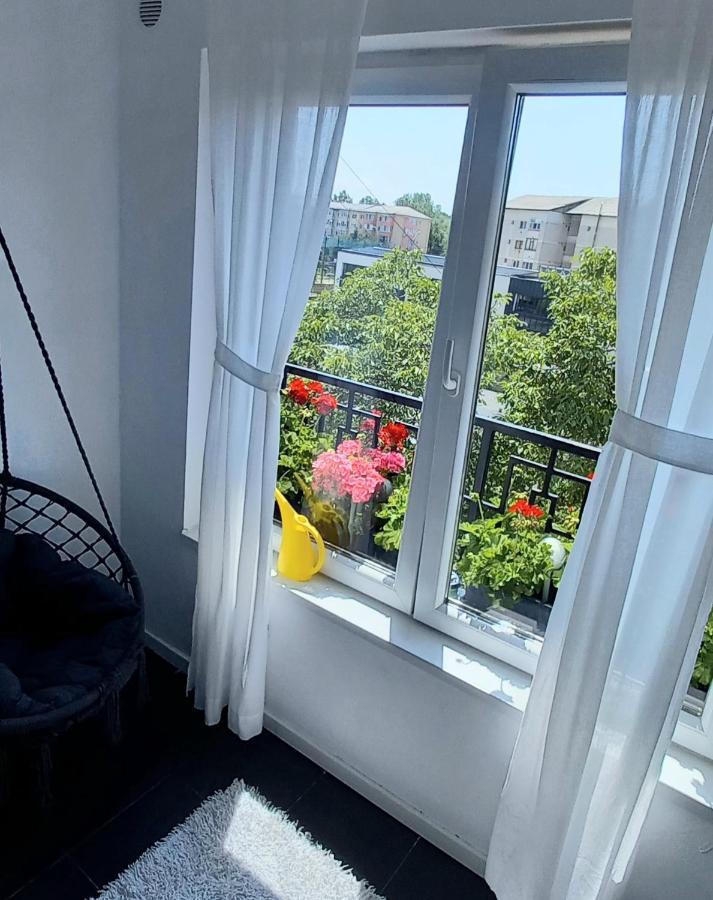 33 Coquette Apartment Baia Mare Luaran gambar